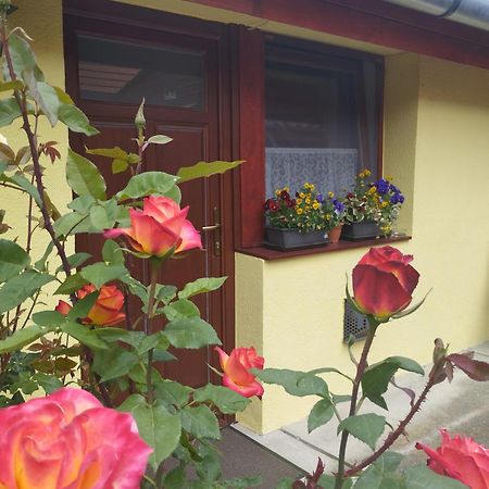 Kis Apartmanhaz Balatonfüred Zewnętrze zdjęcie