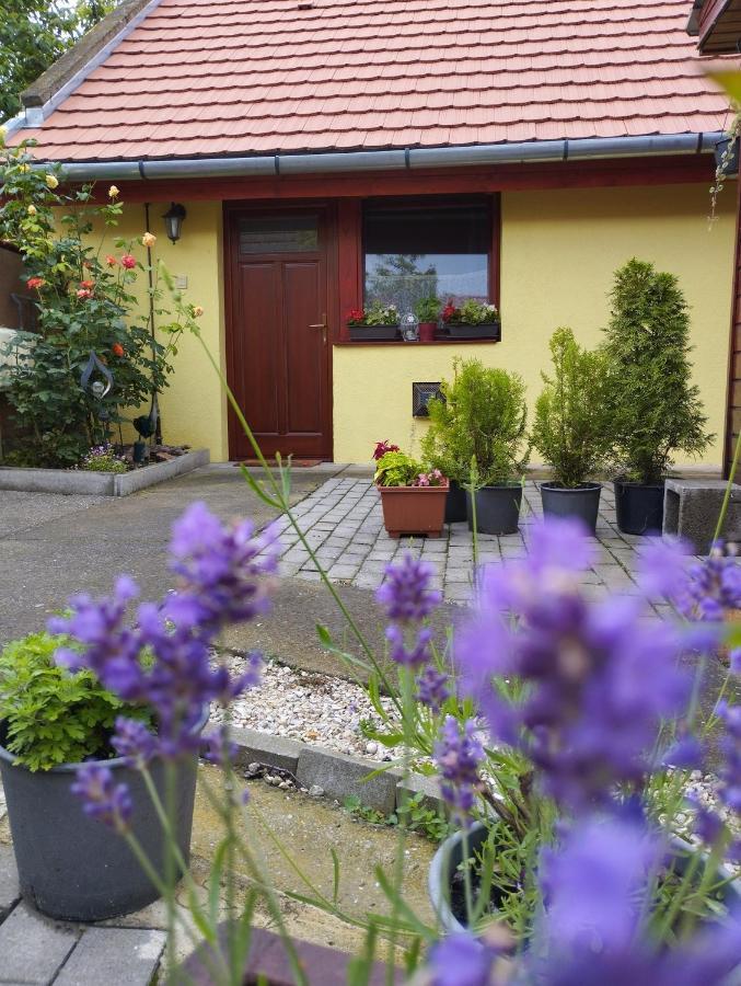 Kis Apartmanhaz Balatonfüred Zewnętrze zdjęcie
