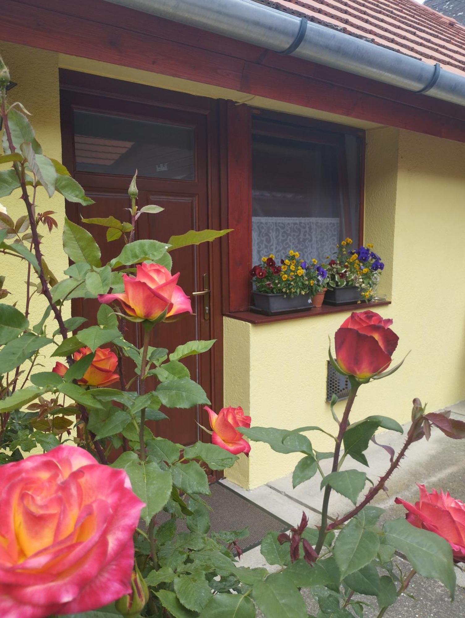 Kis Apartmanhaz Balatonfüred Zewnętrze zdjęcie